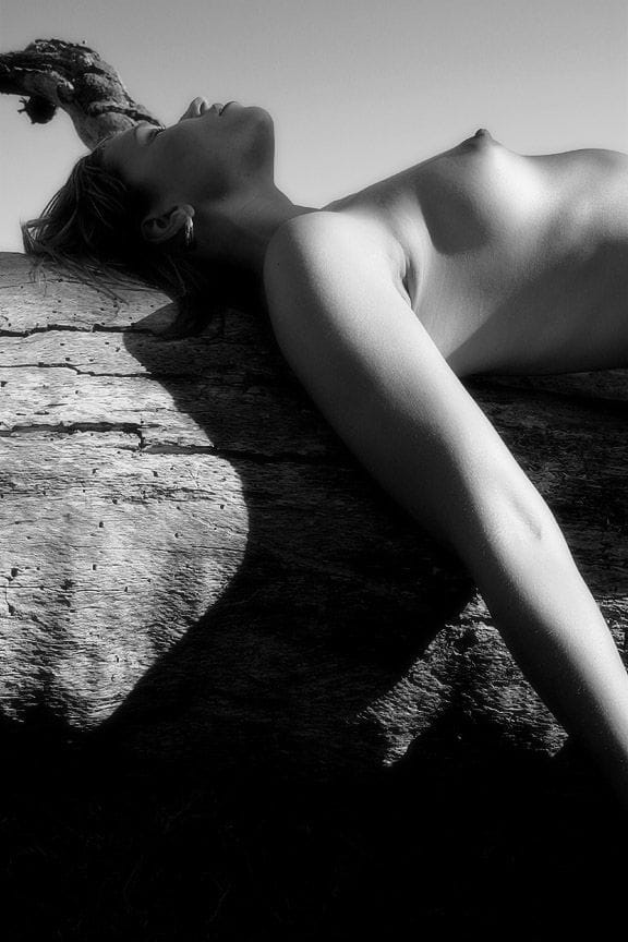 Artwork Title: undefined