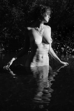 Artwork Title: Untitled