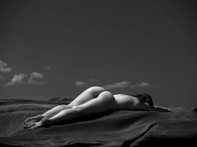 Artwork Title: Untitled