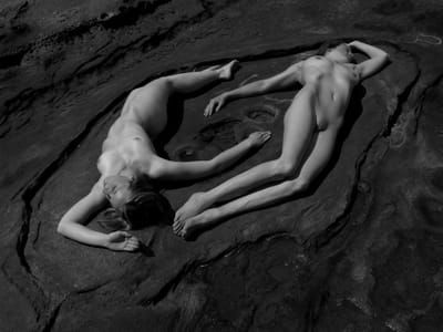Artwork Title: Untitled