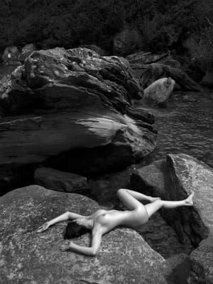 Artwork Title: Untitled