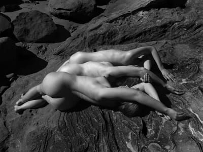 Artwork Title: Untitled