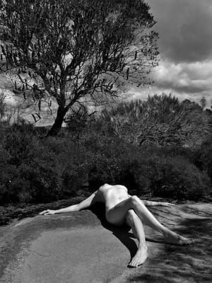 Artwork Title: Untitled