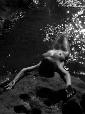 Artwork Title: Untitled