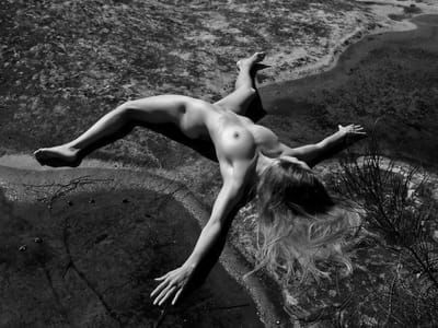 Artwork Title: Untitled