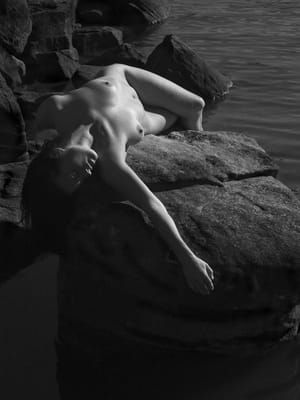 Artwork Title: Untitled