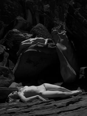 Artwork Title: Untitled