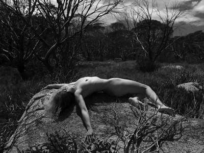Artwork Title: Untitled