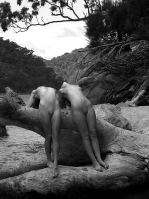 Artwork Title: Untitled