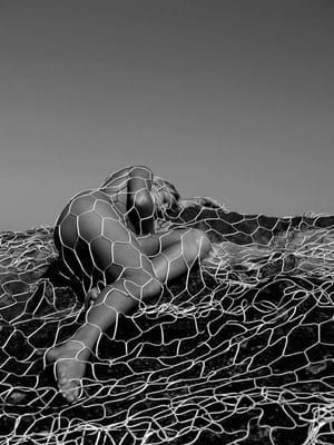 Artwork Title: Untitled
