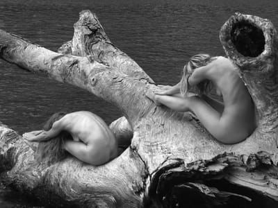 Artwork Title: Untitled