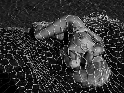 Artwork Title: Untitled
