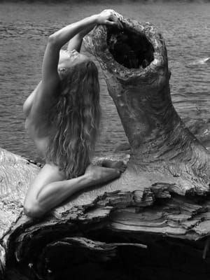 Artwork Title: Untitled