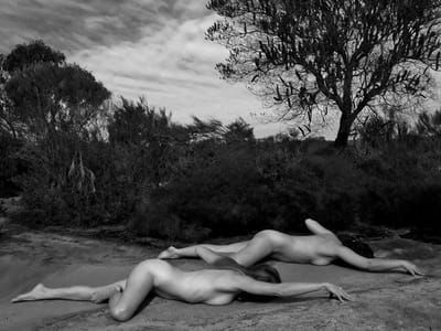 Artwork Title: Untitled