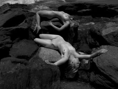 Artwork Title: Untitled