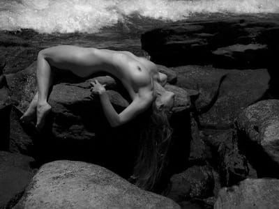 Artwork Title: Untitled