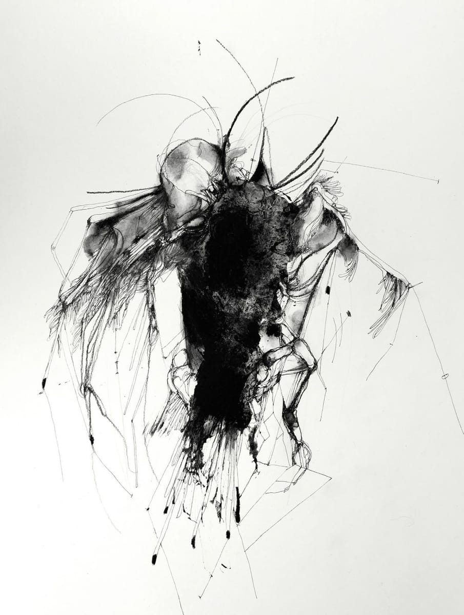 Artwork Title: undefined