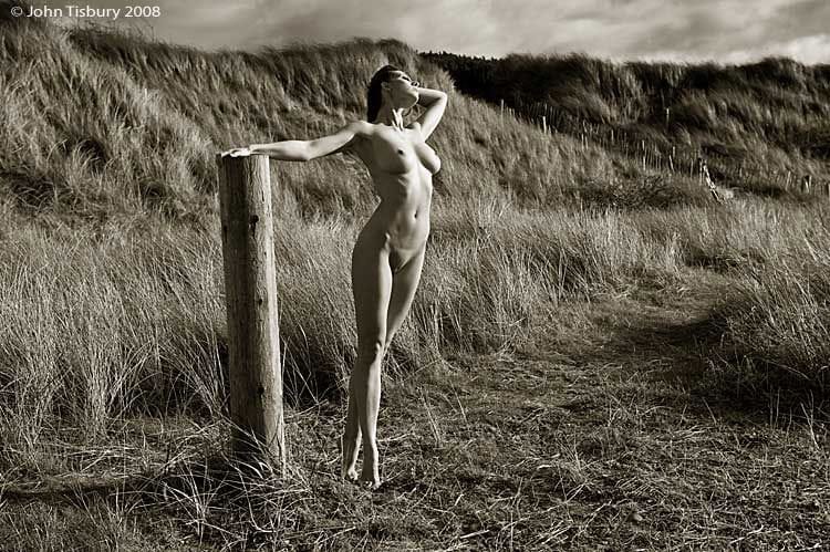 Artwork Title: undefined