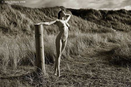 Artwork Title: Untitled