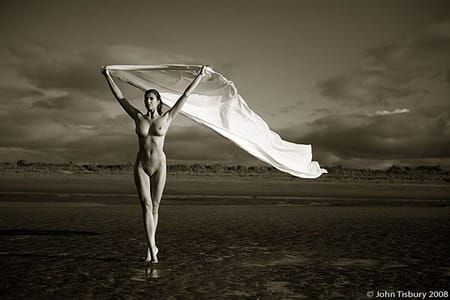 Artwork Title: Untitled