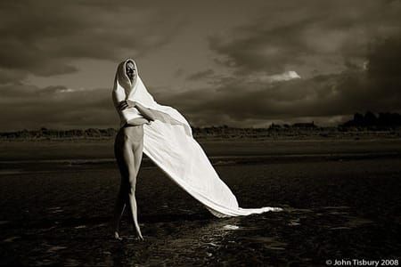 Artwork Title: Untitled