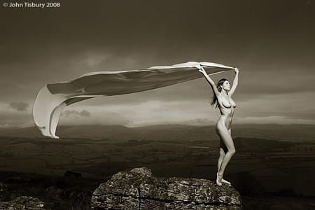 Artwork Title: Untitled