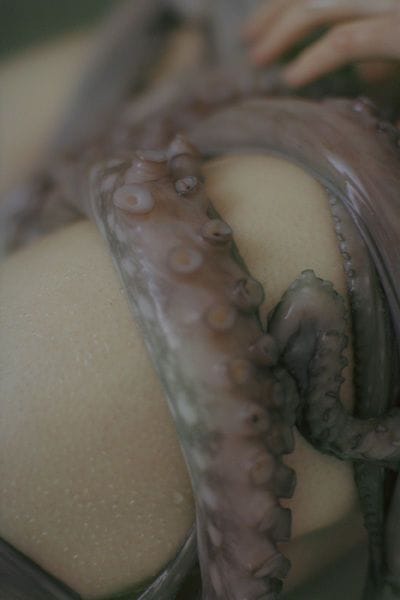 Artwork Title: undefined