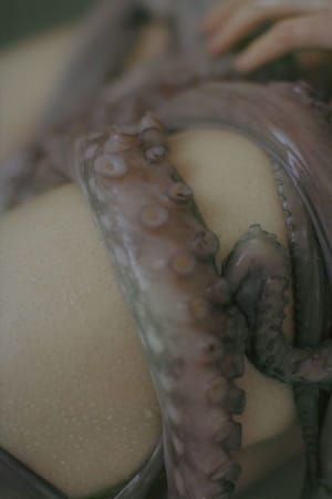 Artwork Title: Untitled