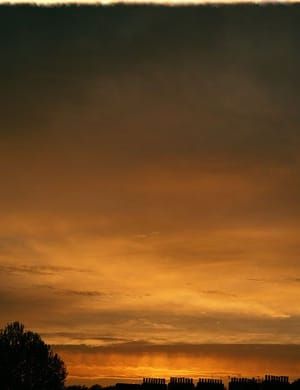 Artwork Title: Untitled