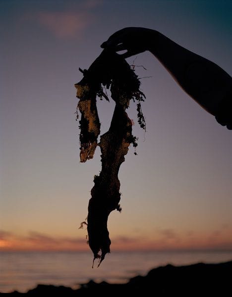 Artwork Title: undefined