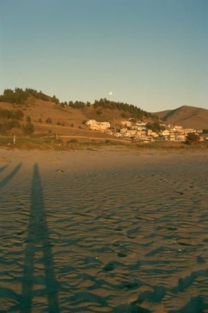 Artwork Title: Untitled