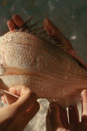 Artwork Title: Untitled