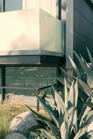 Artwork Title: Untitled