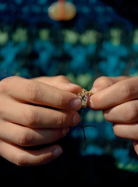 Artwork Title: undefined