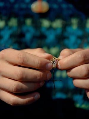 Artwork Title: Untitled