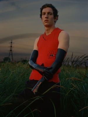 Artwork Title: Untitled