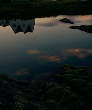 Artwork Title: Untitled