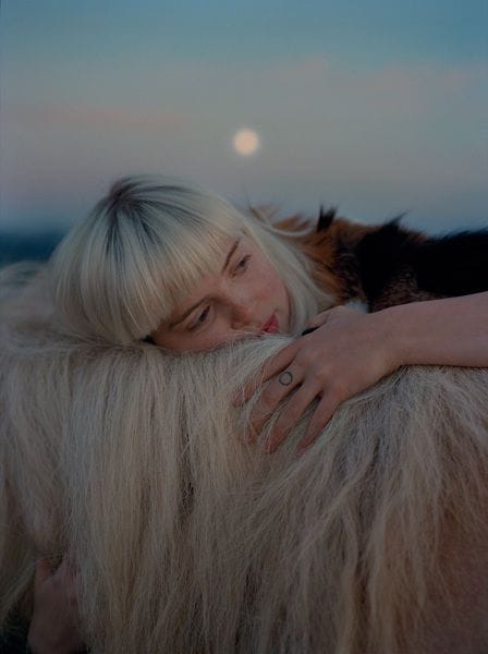 Artwork Title: undefined