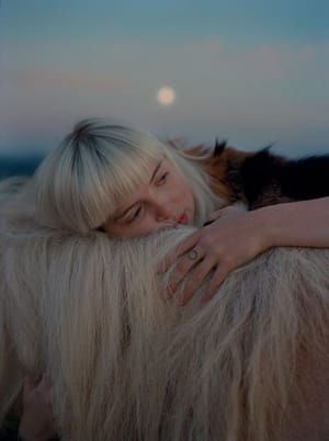 Artwork Title: Untitled