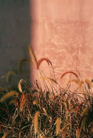 Artwork Title: Untitled