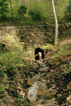 Artwork Title: Untitled