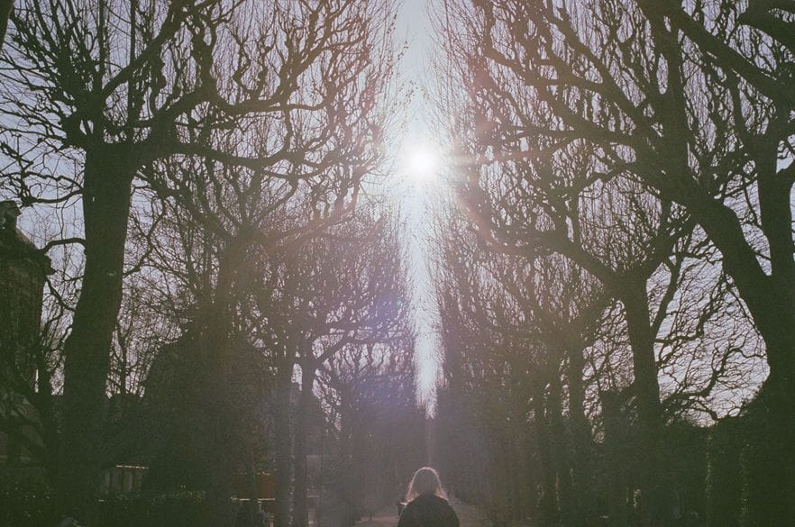 Artwork Title: undefined