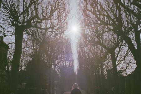 Artwork Title: Untitled