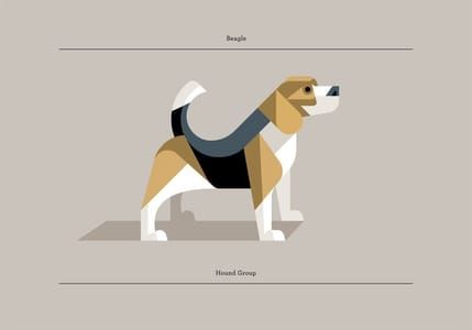 Artwork Title: Beagle