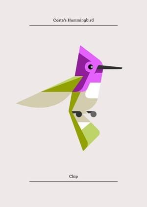 Artwork Title: Costa's Hummingbird