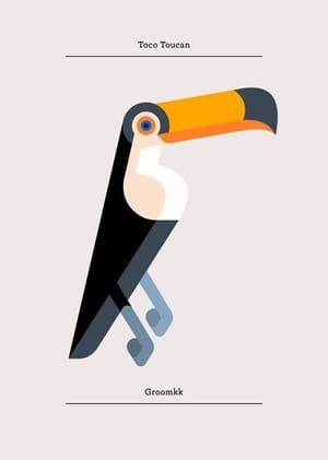 Artwork Title: Toco Toucan