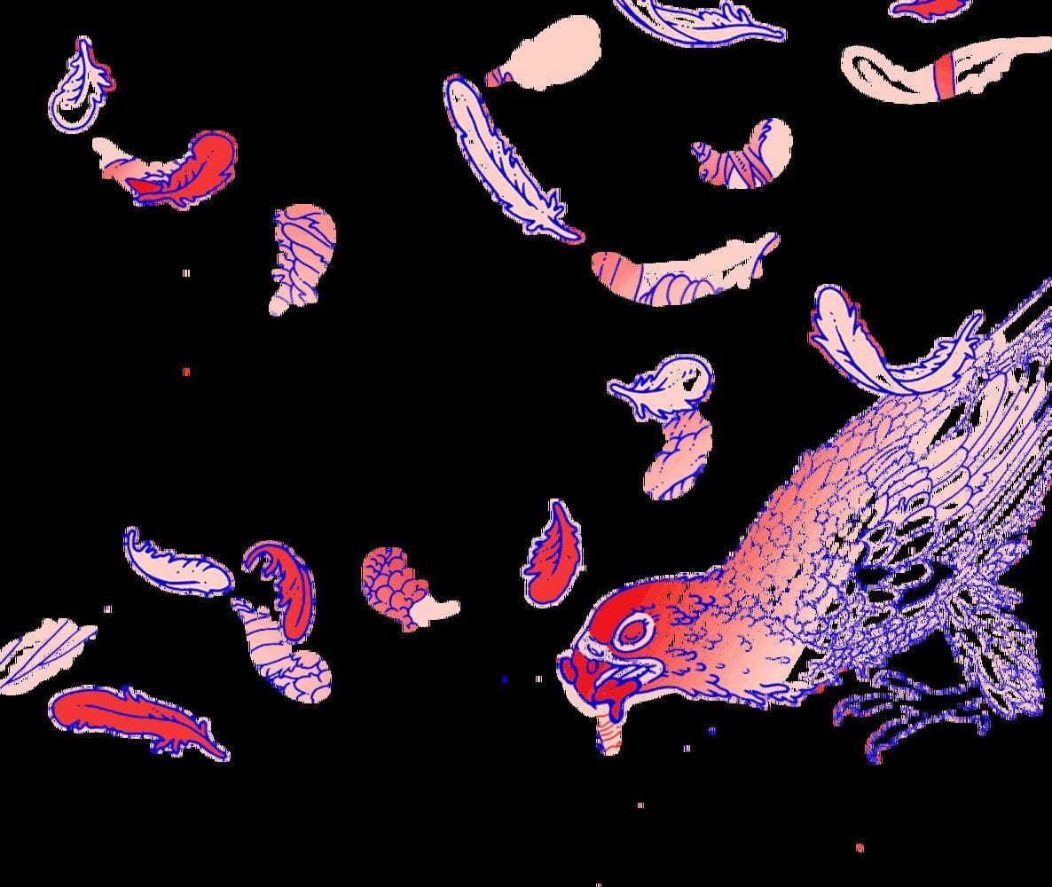 Artwork Title: Illustrated Aviary: Peregrine Falcon