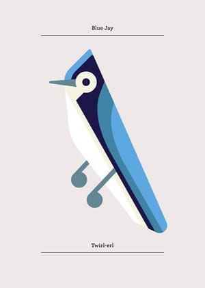 Artwork Title: Blue Jay