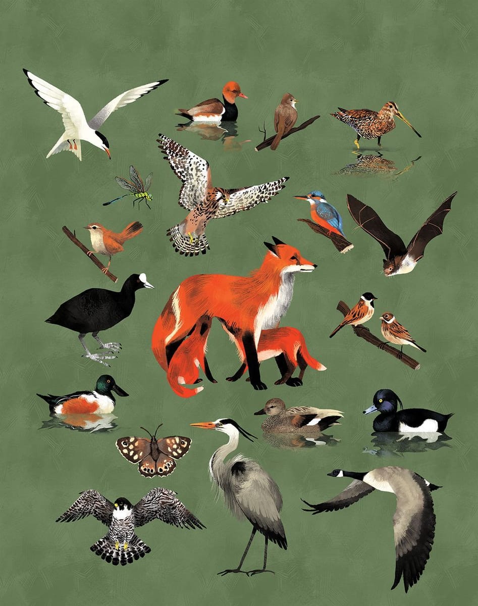 Artwork Title: Source