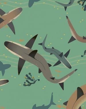 Artwork Title: Smart About Sharks